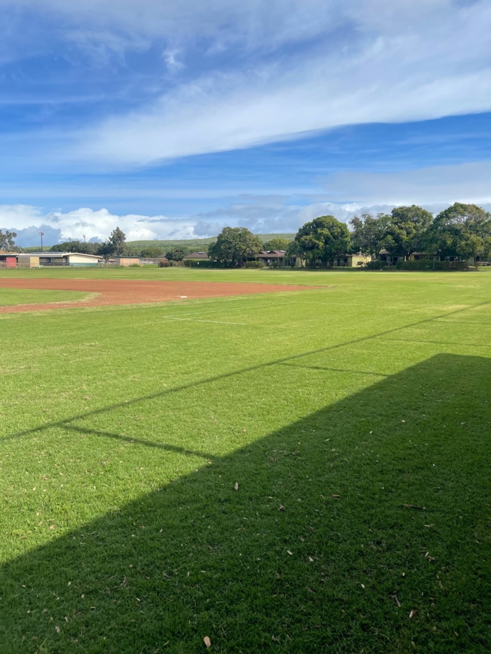 Premium Outdoor Play Field Turf - Green